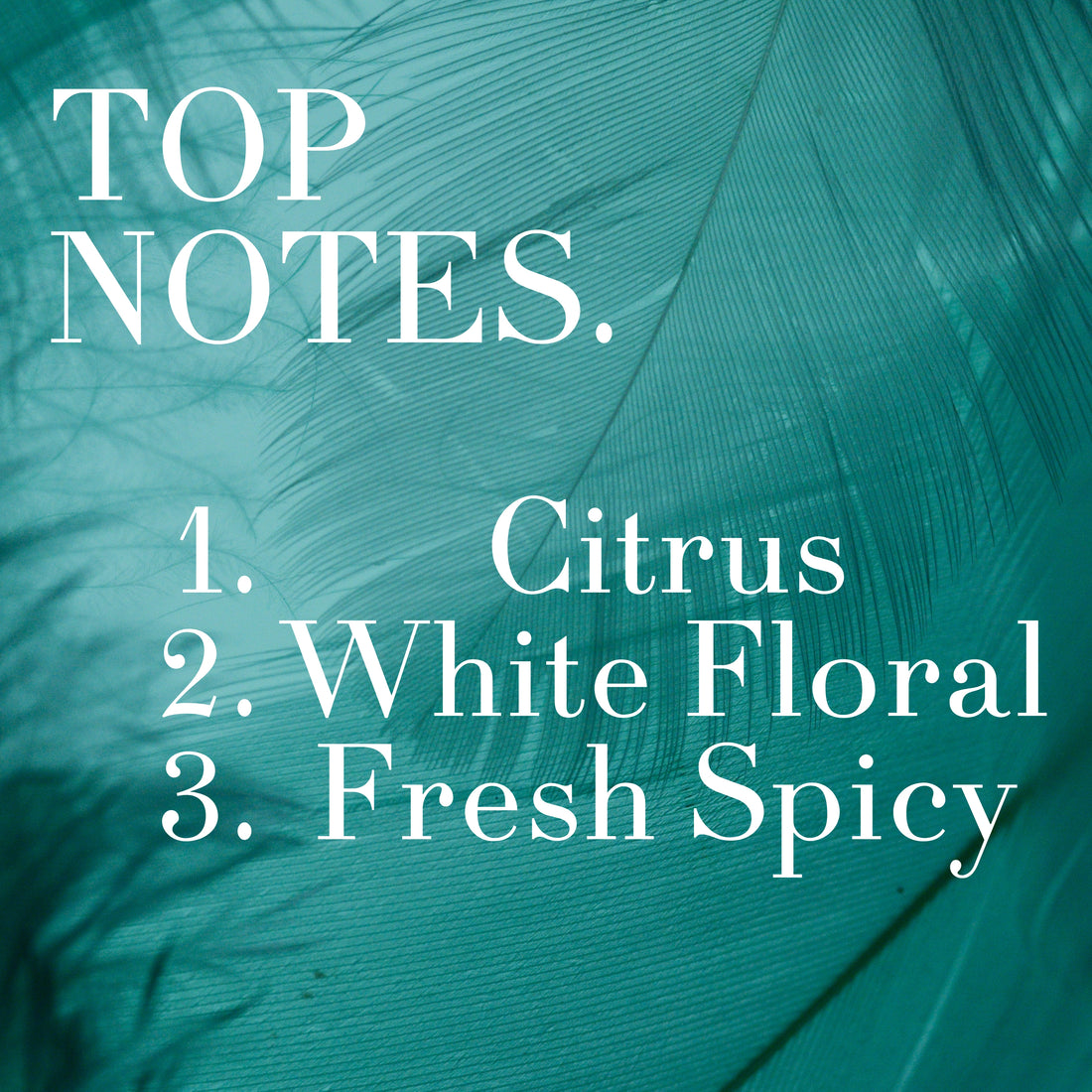 Azure - Crafted Solid Perfumes