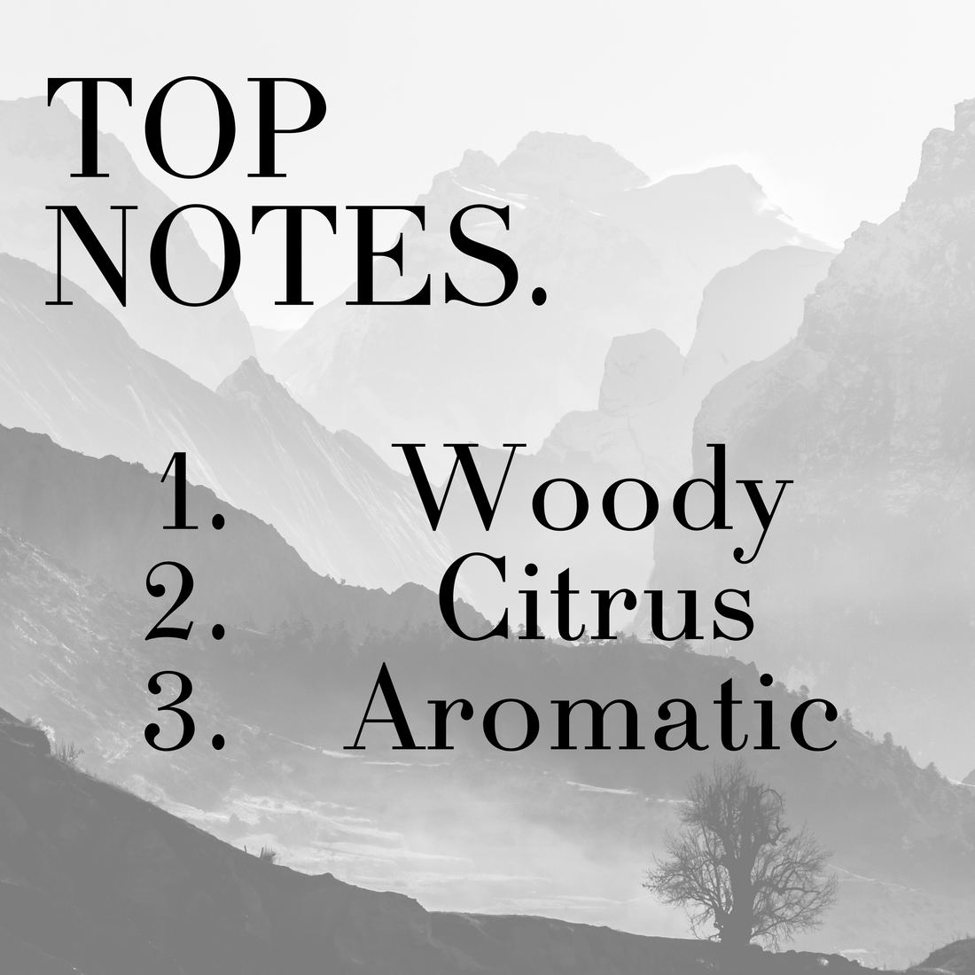 Voyageur - Crafted Solid Perfumes