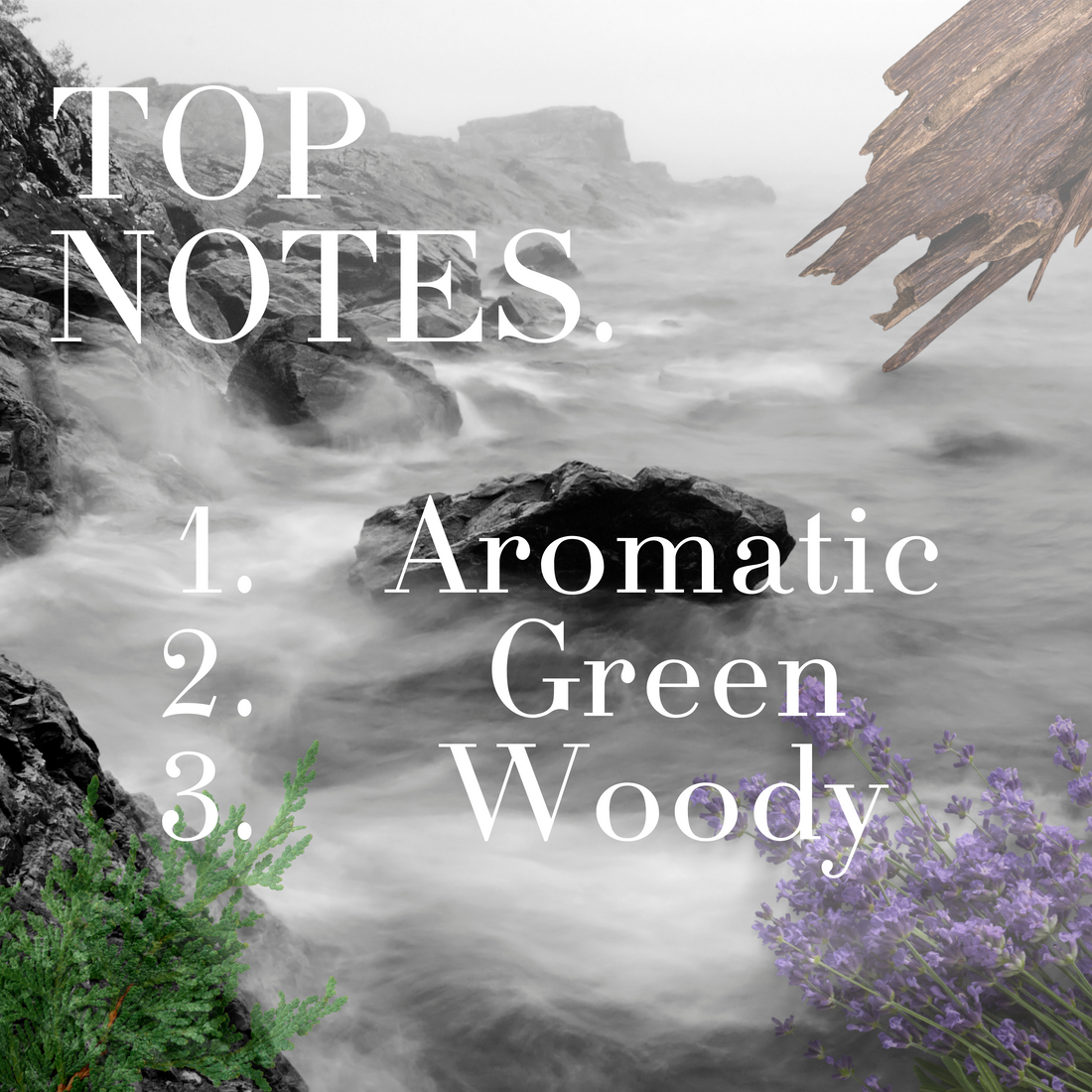 Explorer - Crafted Solid Perfumes