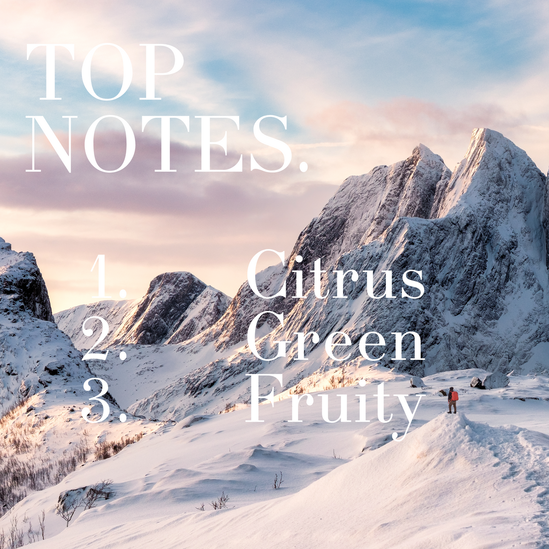 Serene - Crafted Solid Perfumes