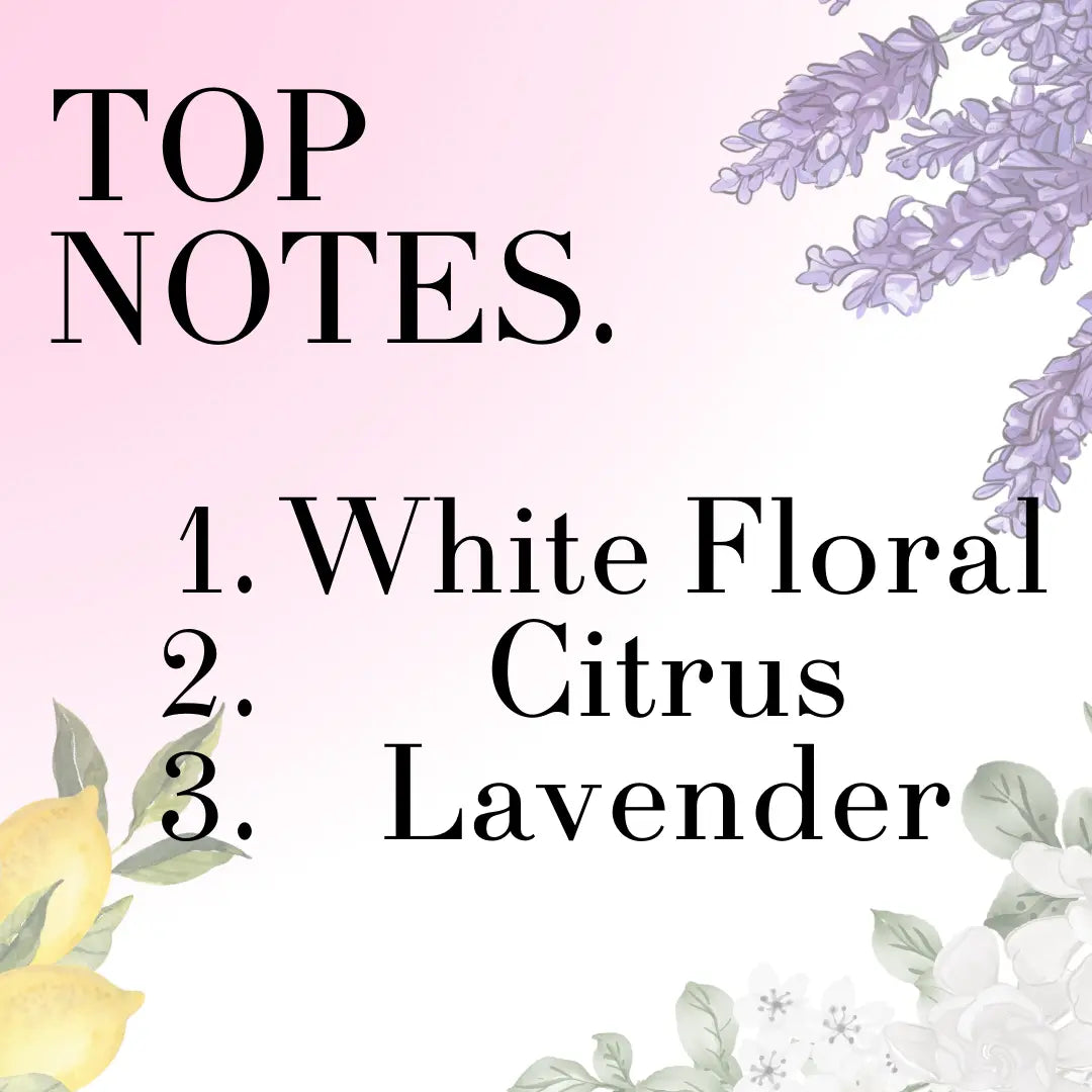 Lumiere - Crafted Solid Perfumes