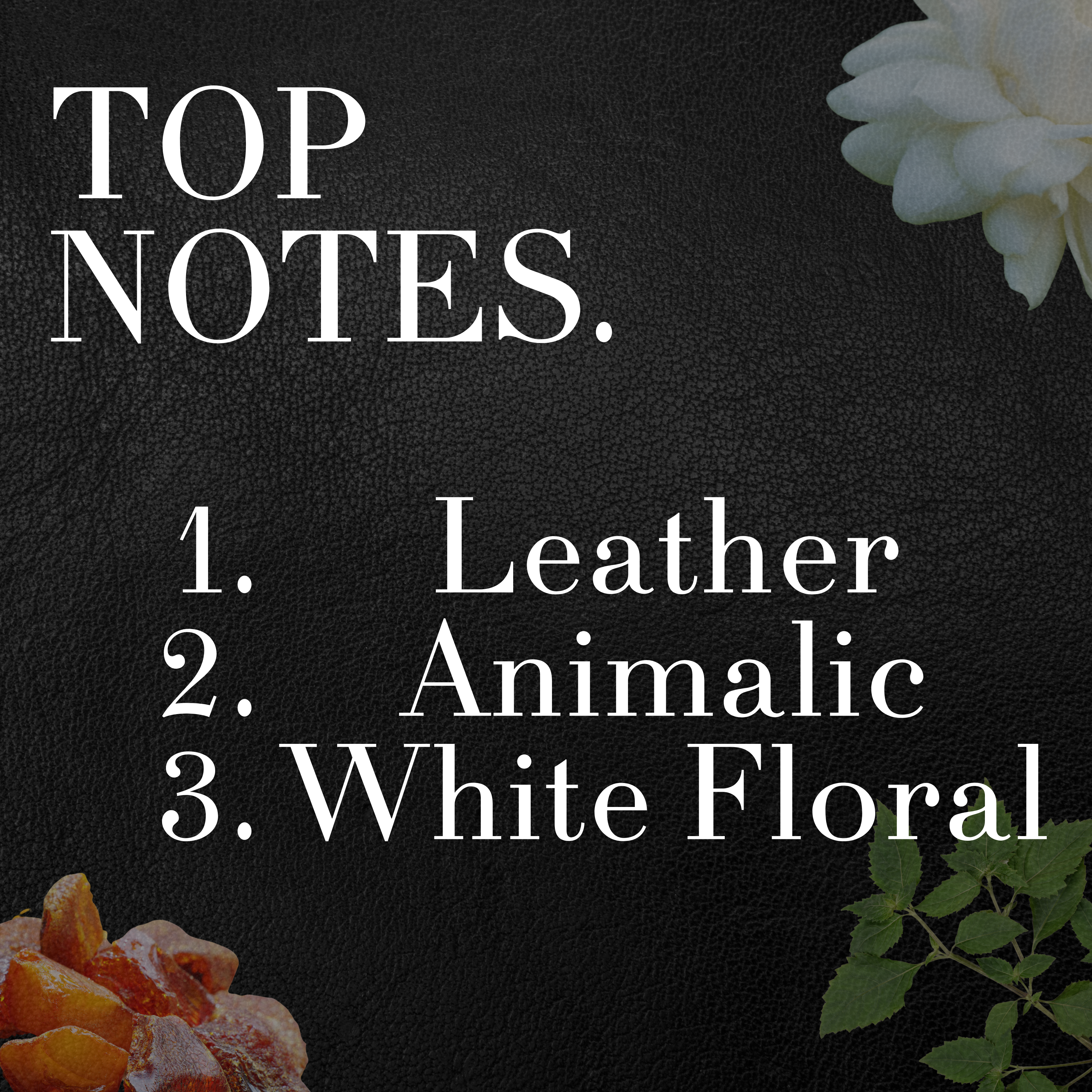 Shadowed Leather - Crafted Solid Perfumes