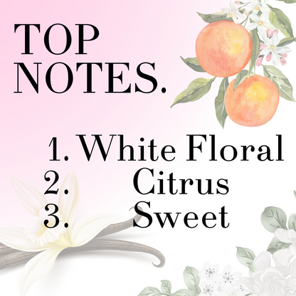 Aura - Crafted Solid Perfumes